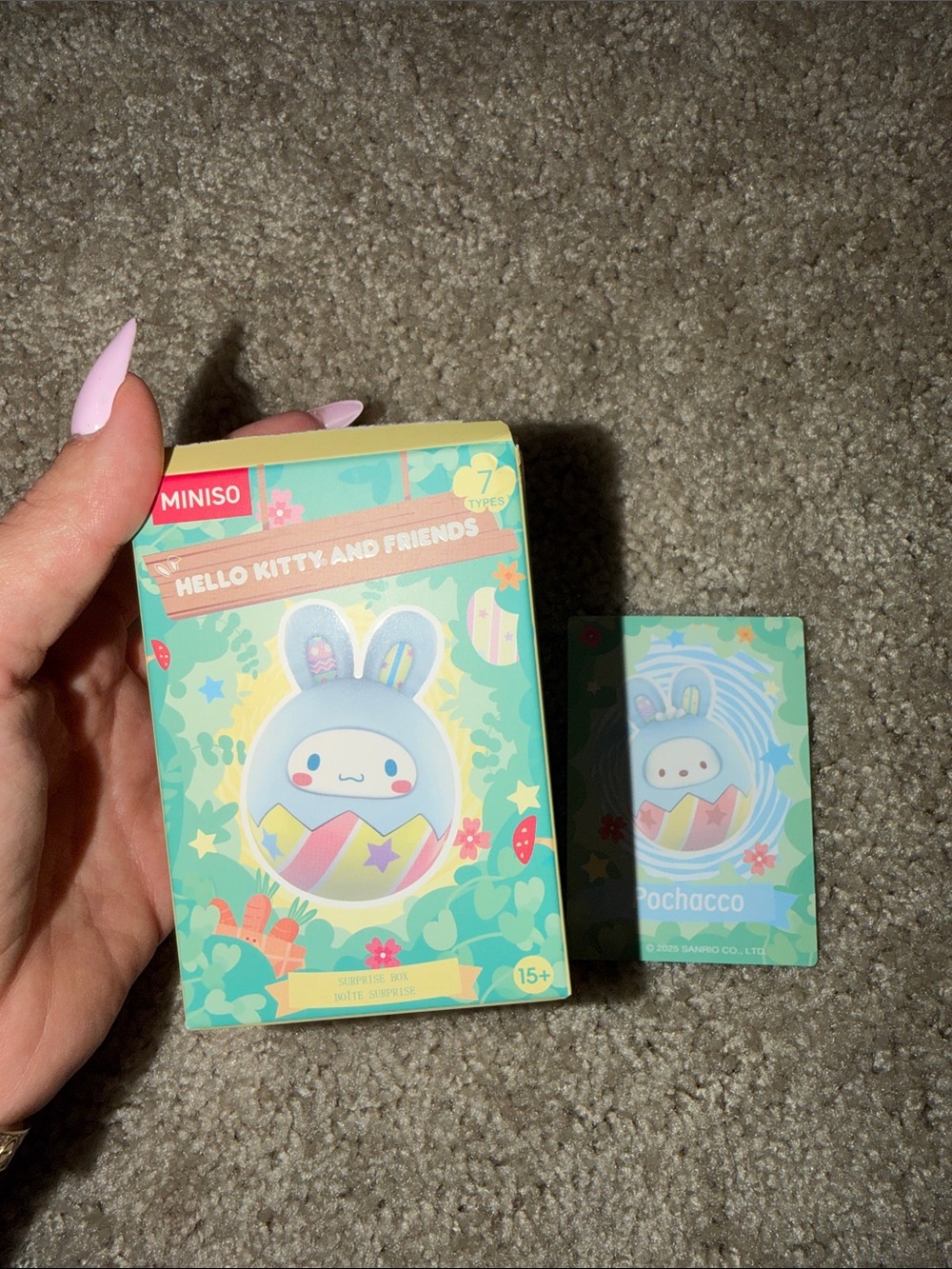 Sanrio Pochacco Pastel Mint Collectible Card